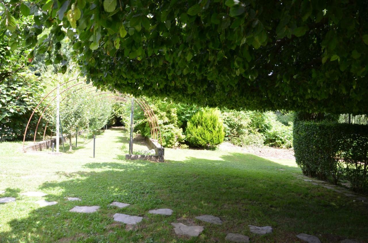 Romagnoli Family Cottage Ameno Eksteriør billede